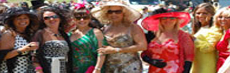 Royal Ascot Limo Hire Midlands